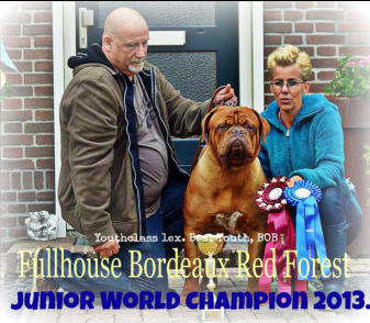 Zoon van Nashua Bordeaux Red Forest, Lizzy is kleindochter van Nashua Bordeaux Red Forest